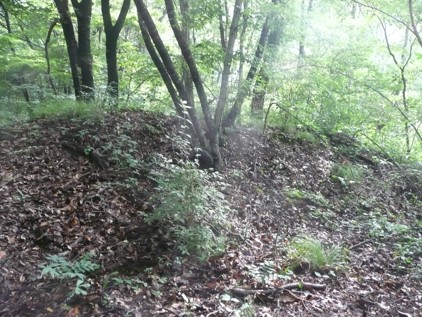 塩崎新（赤沢）城跡②　主郭