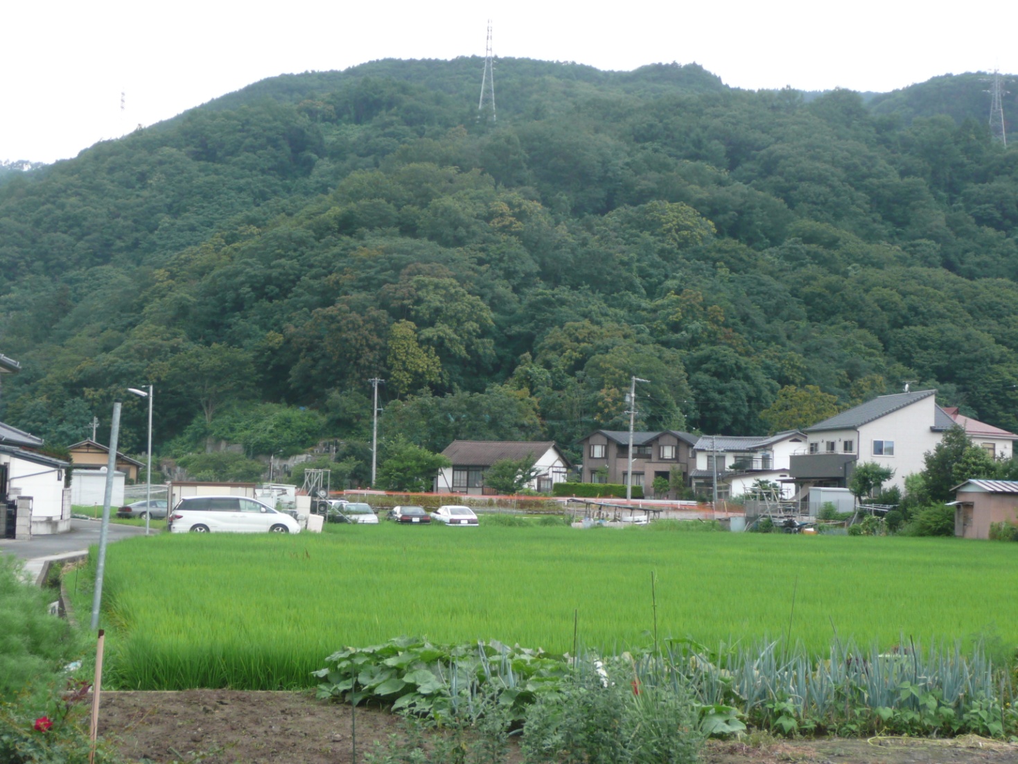 塩崎新（赤沢）城跡③