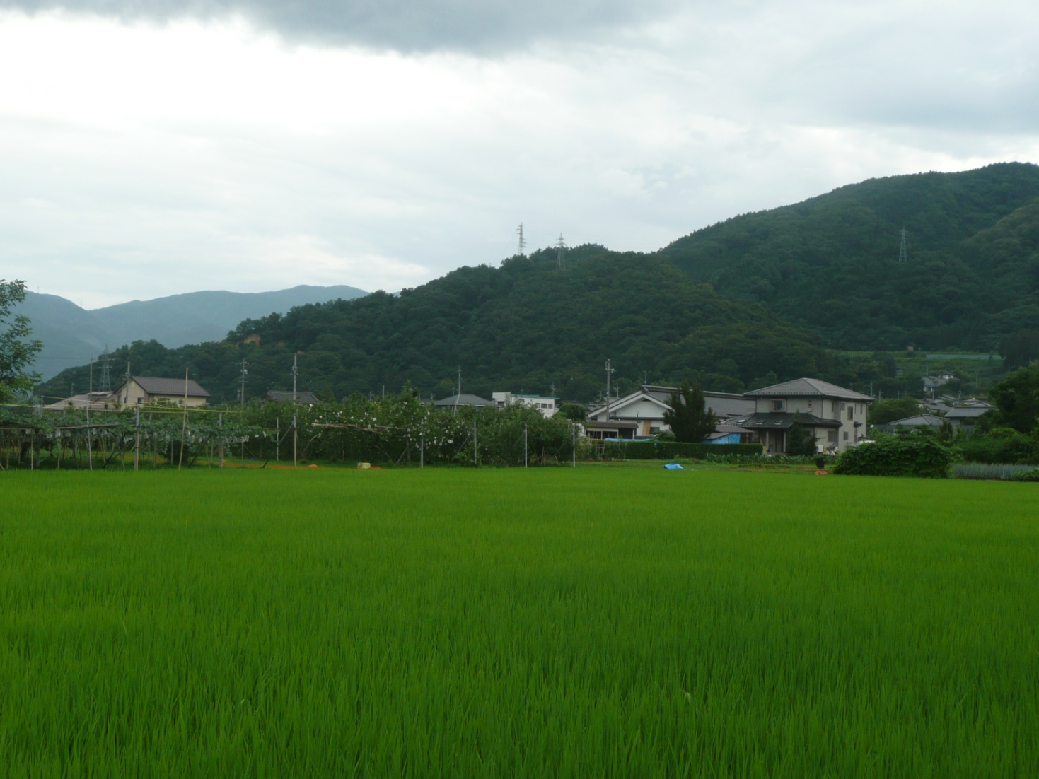 塩崎新（赤沢）城跡④　遠景２の写真