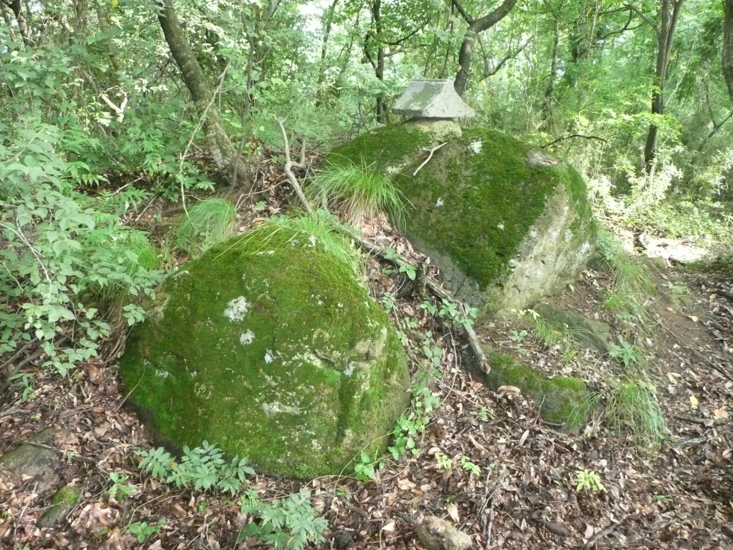 塩崎新（赤沢）城跡⑤　主郭入り口の祠