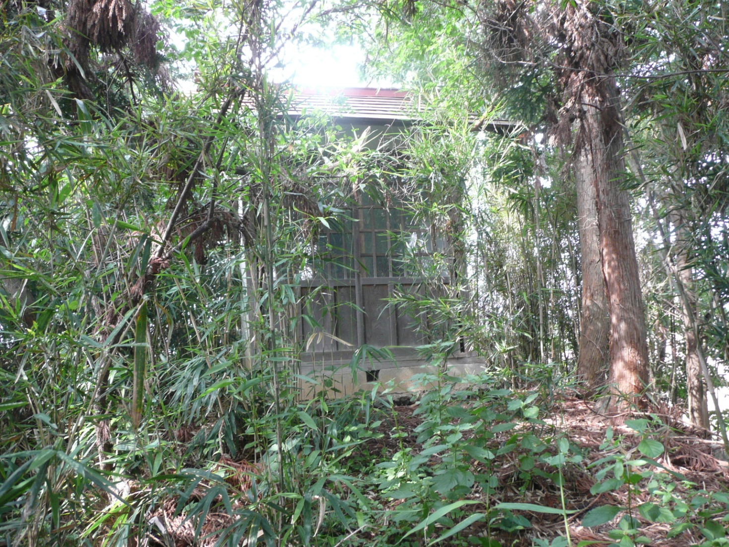 杵渕氏館跡②　城跡に建つ祠の写真