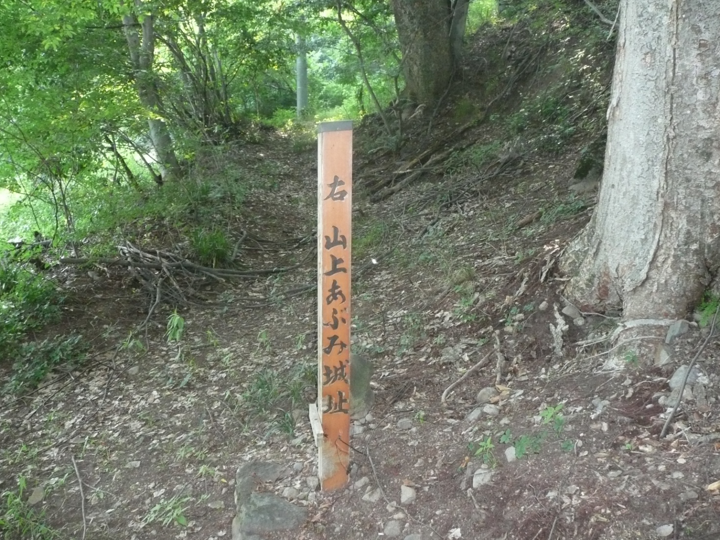 石川城跡⑦　城址への道標の写真