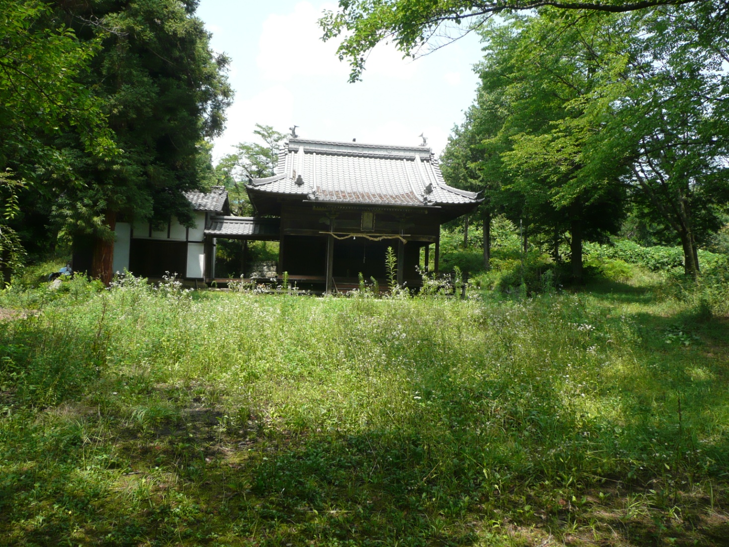 湯ノ入神社城跡①　湯ノ入神社の写真
