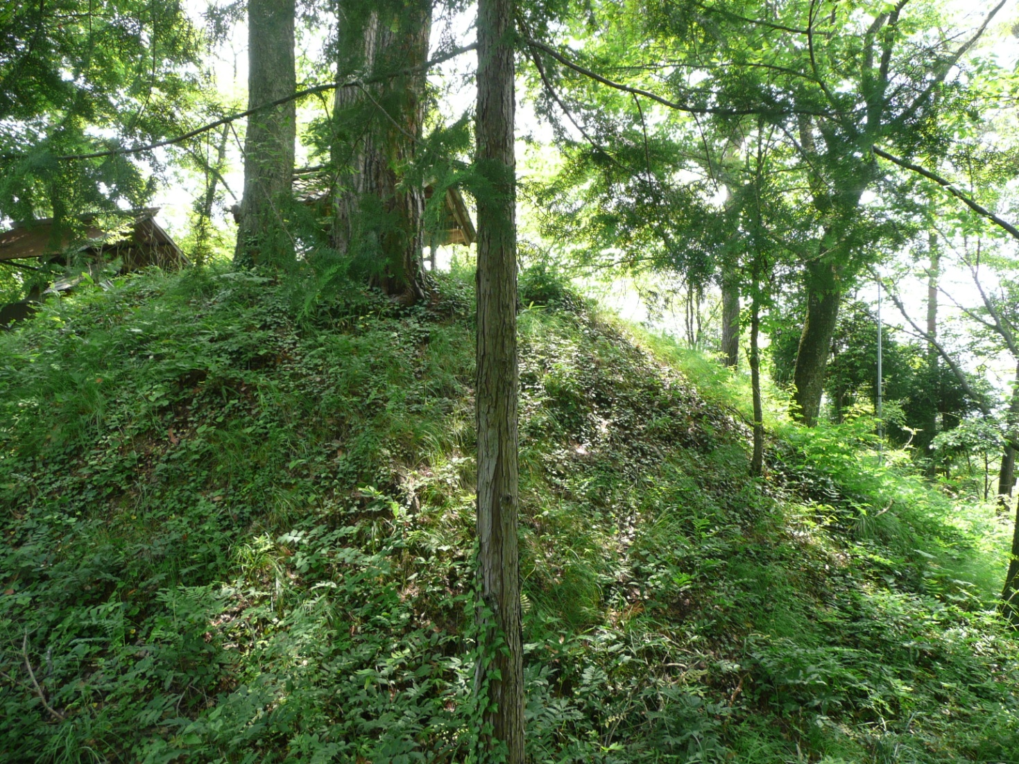 湯ノ入神社城跡③