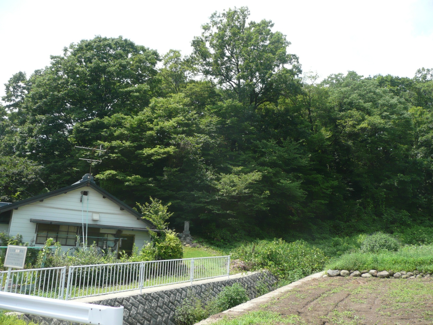 湯ノ入神社城跡⑤　遠景