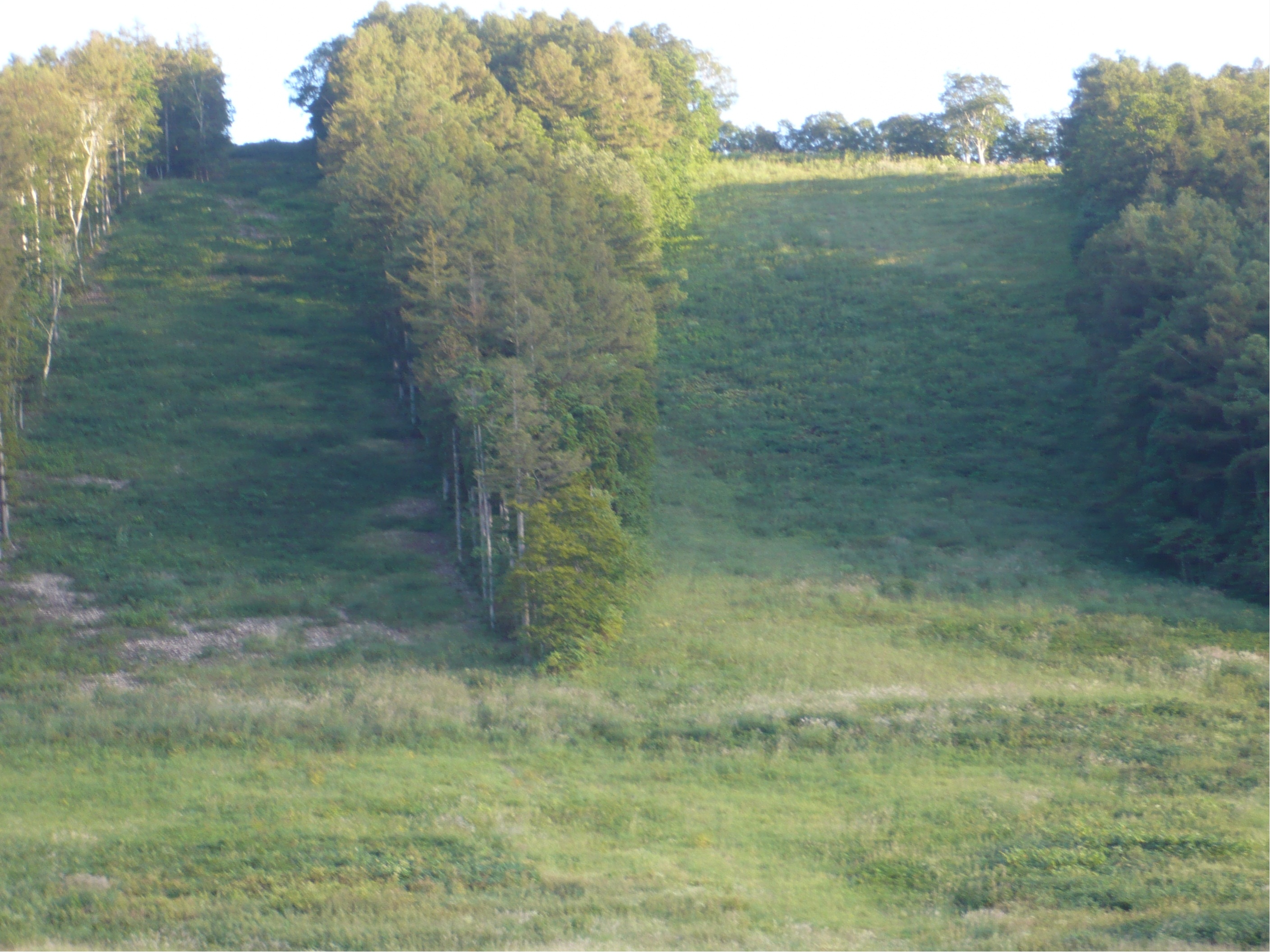 戸隠スキー場２の写真