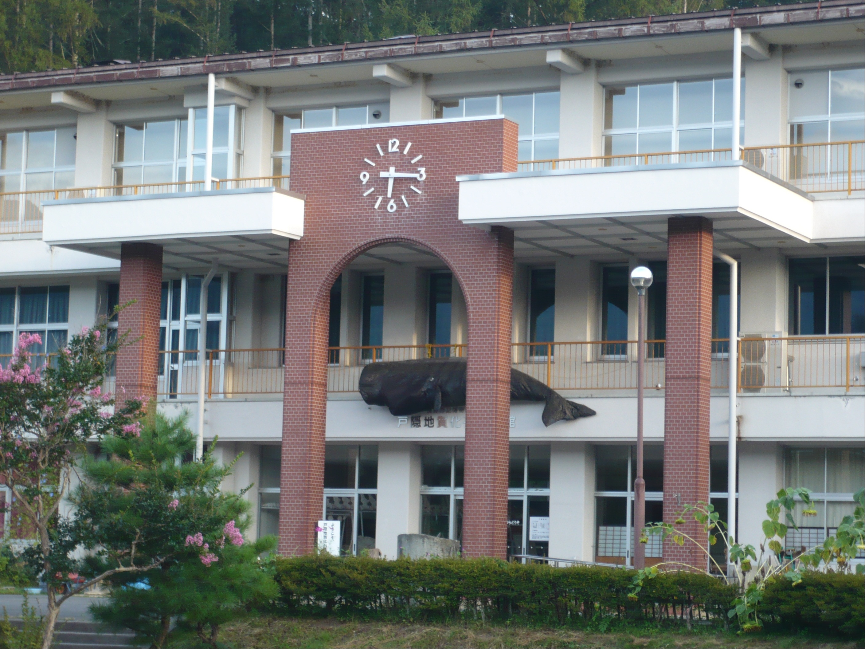 戸隠地質化石博物館１の写真