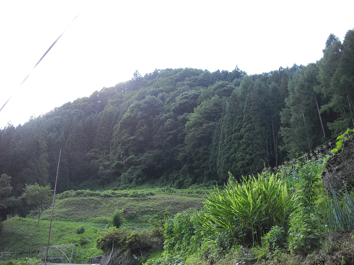 今井城①長峰の城山