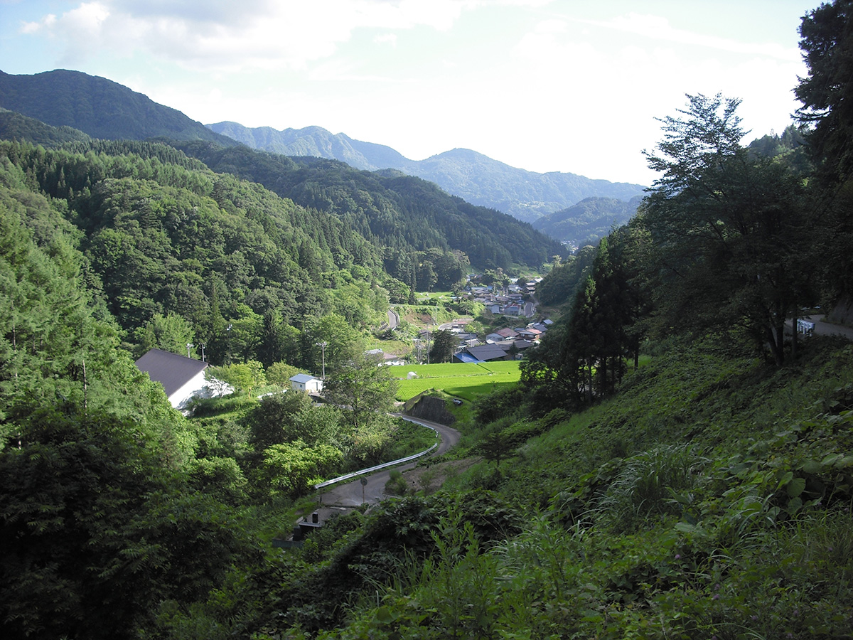 今井城②今井城からみた小川の沢