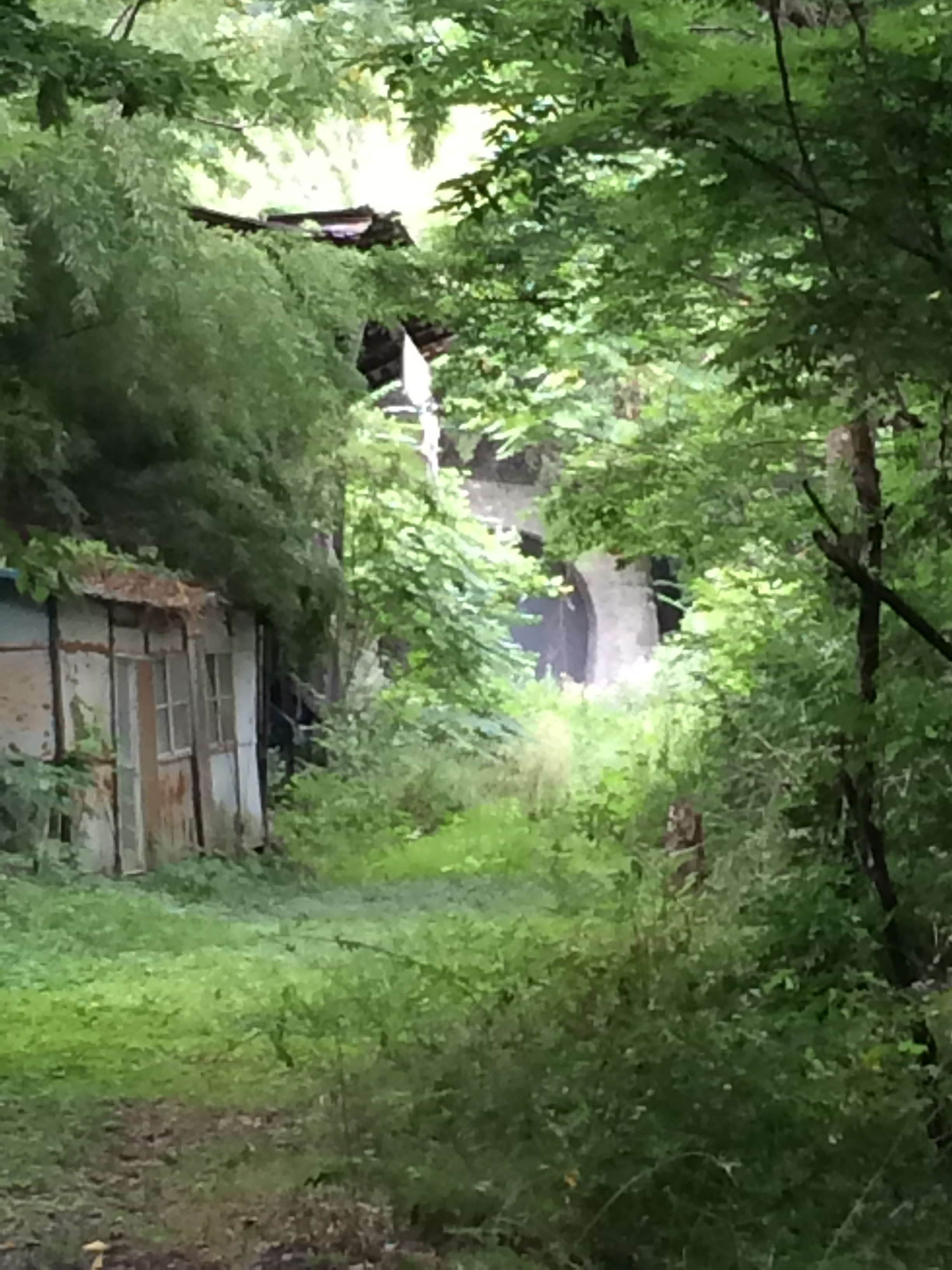 善光寺白馬鉄道　茂菅第一ずい道②の写真