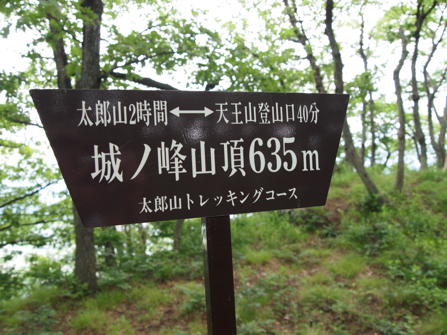 春山城跡②の写真