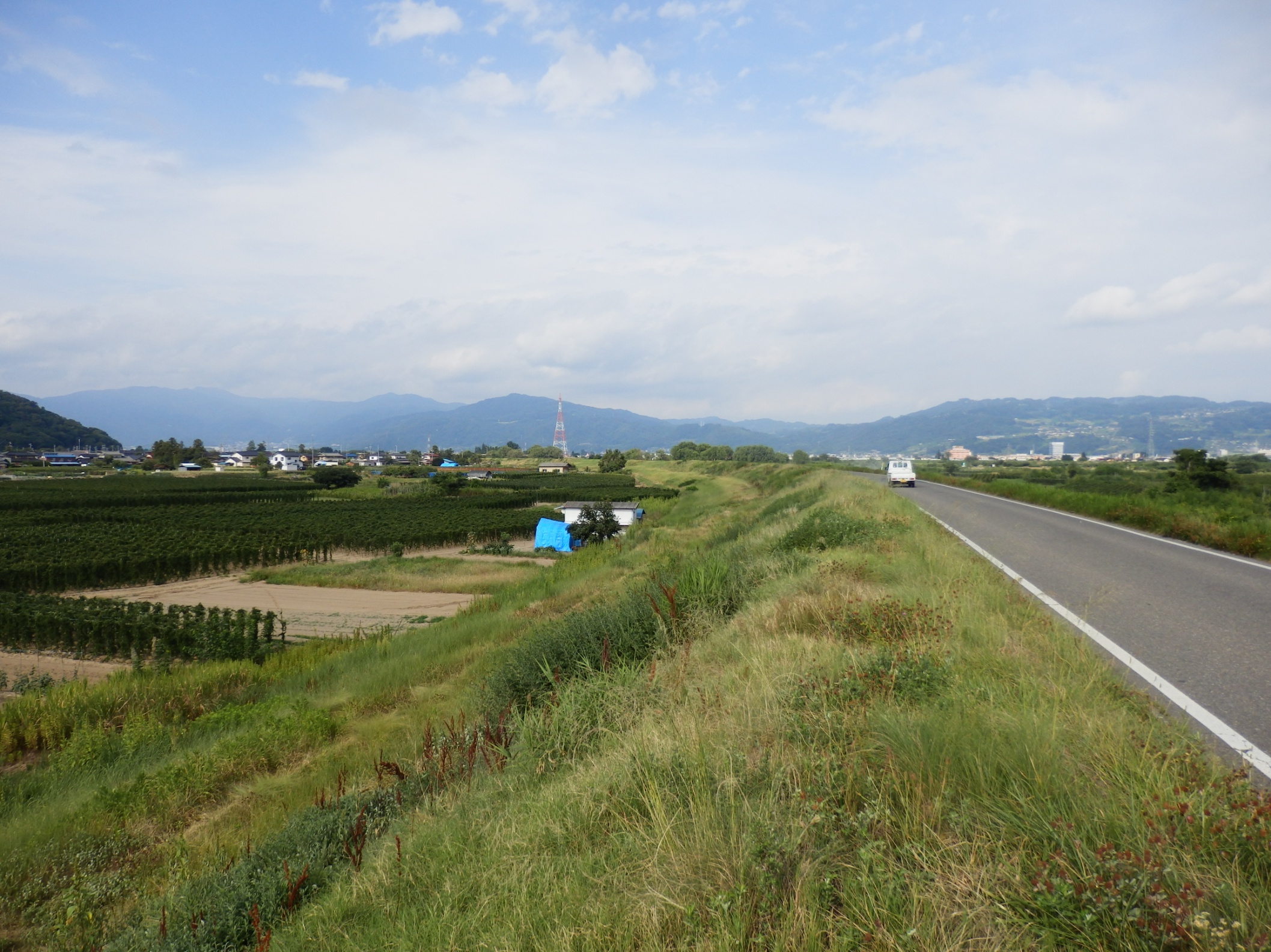 松代岩野集落・長芋畑と千曲川堤防の写真